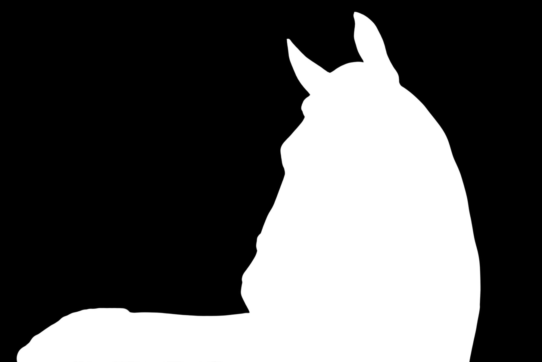 Silhouetted portrait of a horse's head and neck